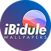 iBidule's avatar