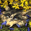 IdrilFox's avatar