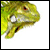 IguanaShots's avatar