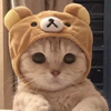 iiiKaedxn's avatar