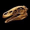 IISickMindII's avatar