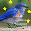 ilovebirds18's avatar