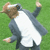 ilovehorsesplz's avatar