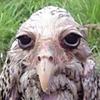 IlyaSMarid04's avatar