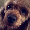 ImagineFlags's avatar