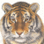 Immortal-Tiger's avatar