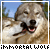 immortalwolf's avatar