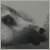 imp-studios's avatar
