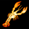 incredible-lobster's avatar