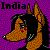 India-Doggie's avatar