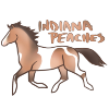 IndianaPeaches's avatar