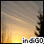 indigo-winter's avatar