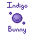 indigobunny's avatar