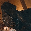 indoraptormaster's avatar