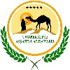 infopc120's avatar