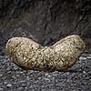 IngeKlemFavs's avatar