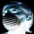 ingodcamera's avatar