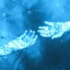 INHATE's avatar