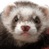 InkaMagic's avatar