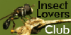 Insect-Lovers-Club's avatar
