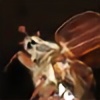 INSECT0GRAPHY's avatar