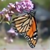 InsectHuntress's avatar