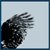 into-blue's avatar