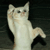 Intoxicated-Kitten's avatar