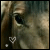 iridescent-equine's avatar
