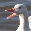 ironiclensflare's avatar