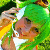 ItsRinko-Chan's avatar
