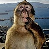 iustitiapedia's avatar