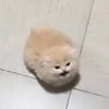 ivantheteriblle's avatar
