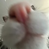 iwistuff's avatar
