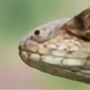 izaac23's avatar