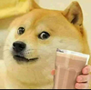 JackousBlackous's avatar