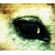 jashai's avatar