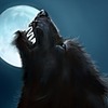 jassoncruzz's avatar