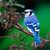 JayBirdBlue's avatar