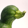 JayJeyJail's avatar