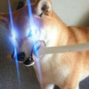 JayWaan's avatar