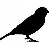 Jchap808's avatar