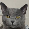 jdicoco1's avatar