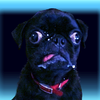 JECBrush's avatar