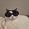 Jef8's avatar
