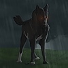 JellyShadow's avatar