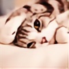 JiaWuJiaJia's avatar