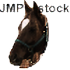 JMP-Stock's avatar