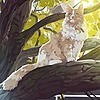 JoeKayen's avatar