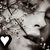 johannes-kepler's avatar